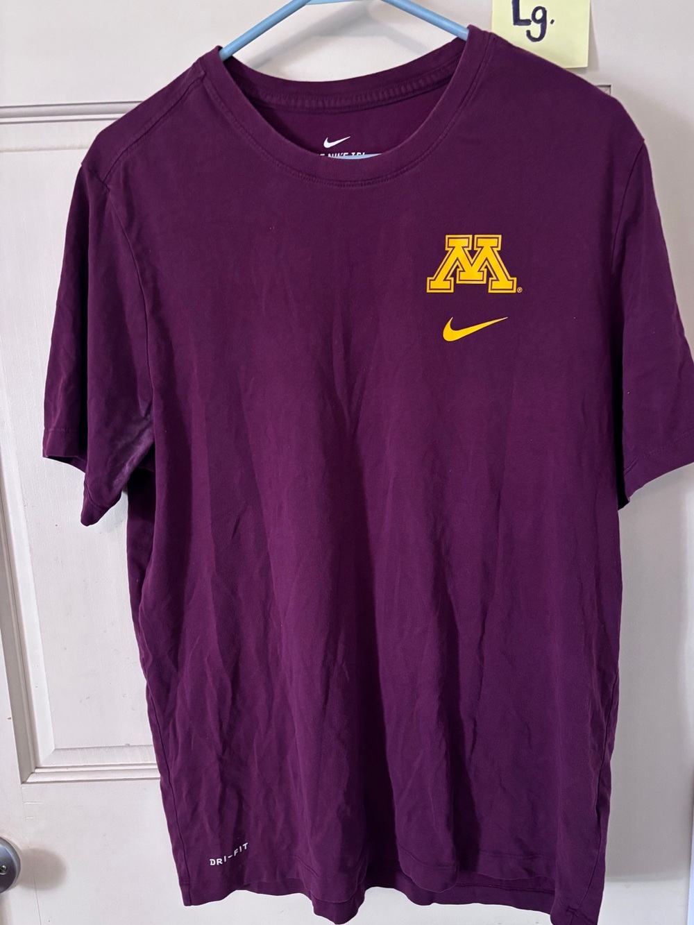 Nike Minnesota Golden Gophers Sideline Legend performance